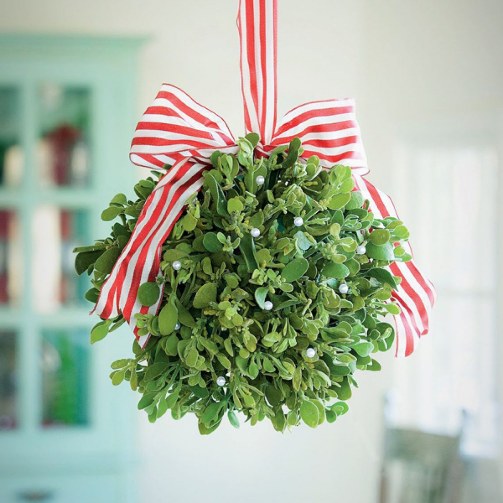 How To Make And Grow Your Own Mistletoe Living North